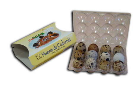 12 Huevos de codorniz